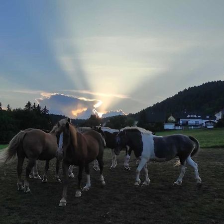 Ferienwohnung Am Tor Zum Thueringer Wald Plaue  Екстериор снимка